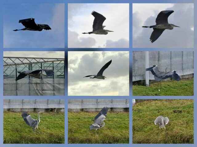 Vakantie Spanje Barcelona 426