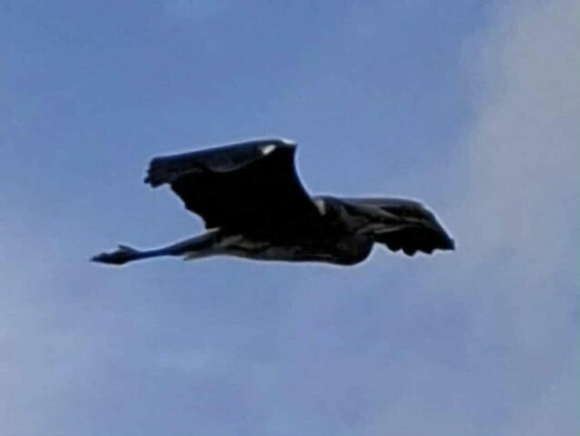 Vakantie Spanje Barcelona 438