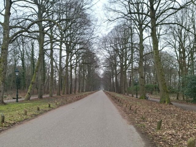 TCR winterrit 27-1-2026 115