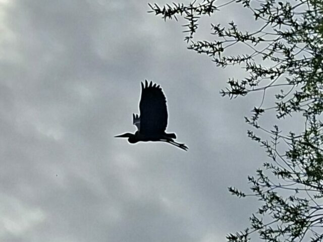 Diverse fiets ritten 9-4-2026 272