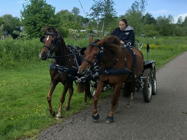 fot’s 2 ritten 160