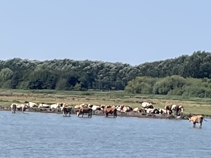 TCR dido’s naar KIJKDUIN enz. 4-8-2026 017